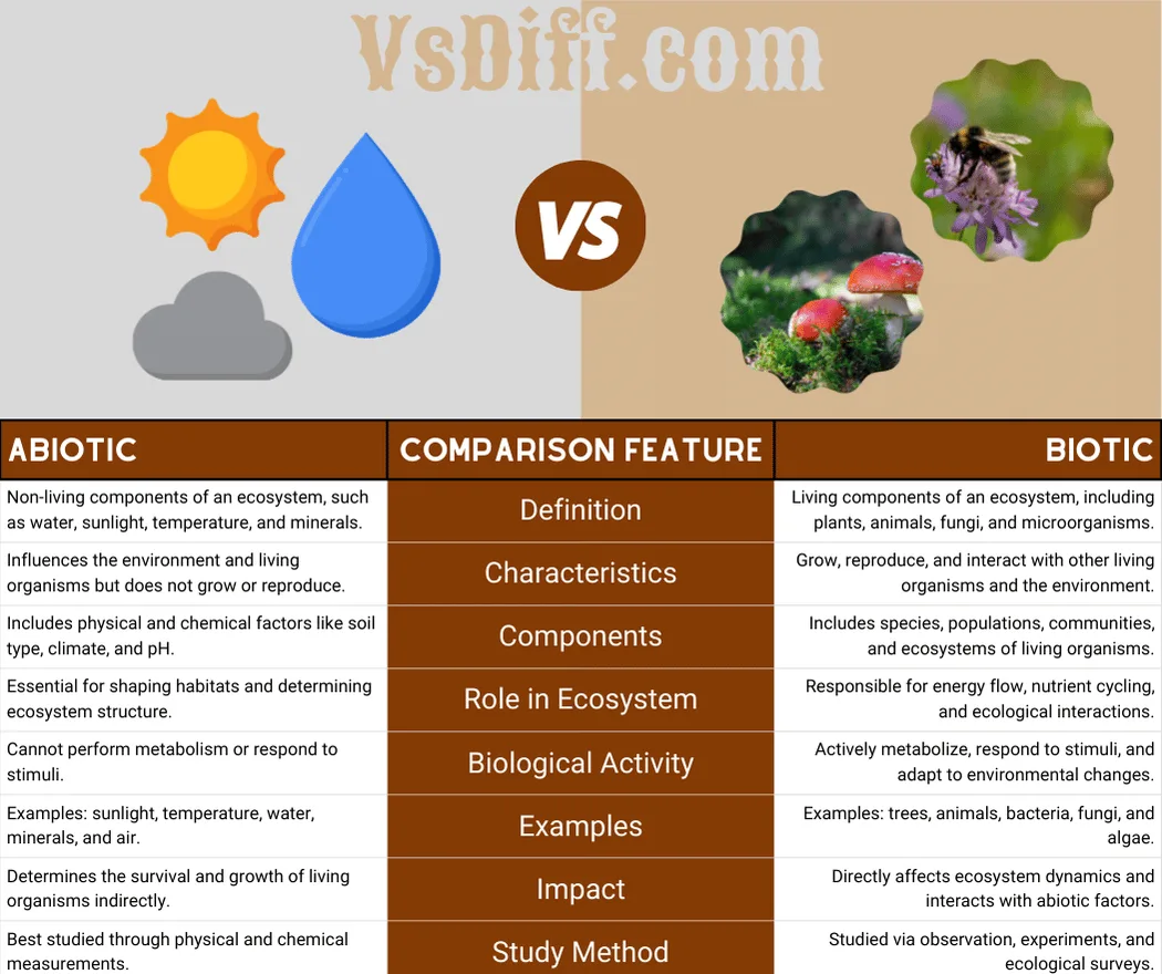 Abiotic vs Biotic