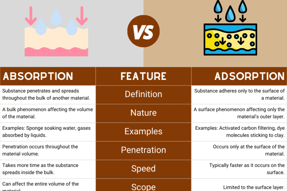 Absorption vs. Adsorption