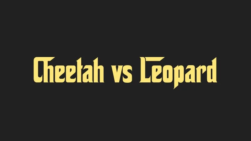 cheetah-vs-leopard