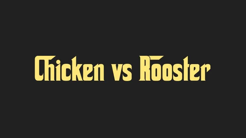 chicken-vs-rooster