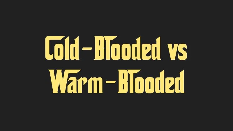 cold-blooded-vs-warm-blooded