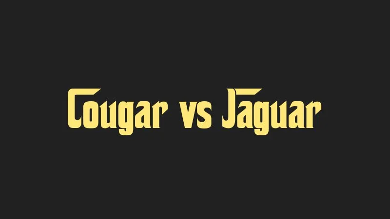 cougar-vs-jaguar