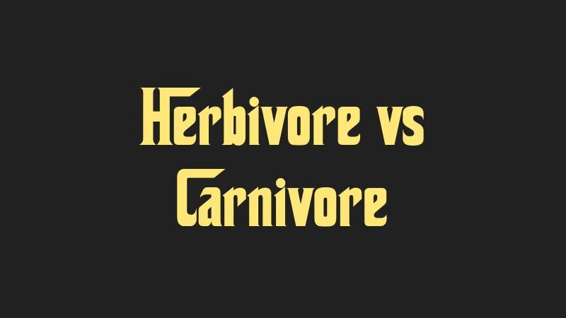 herbivore-vs-carnivore