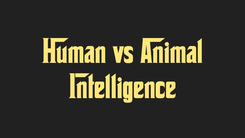 human-vs-animal-intelligence