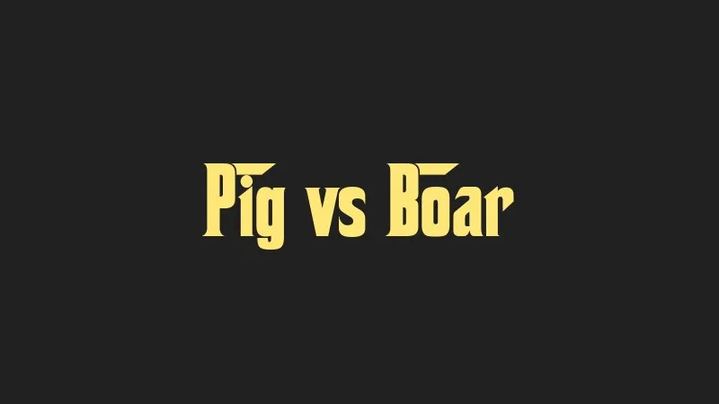 pig-vs-boar