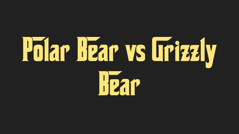 polar-bear-vs-grizzly-bear
