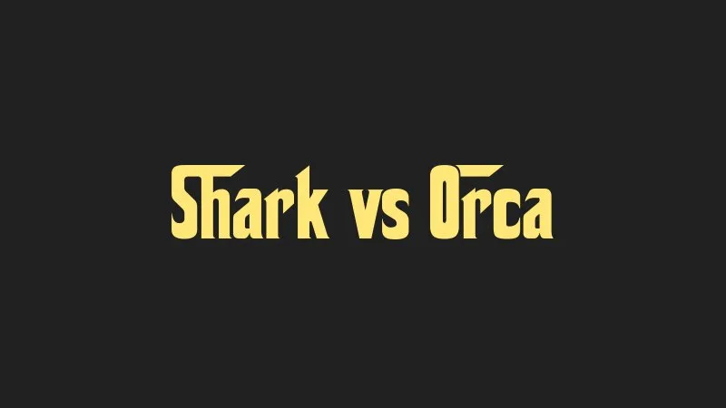 shark-vs-orca