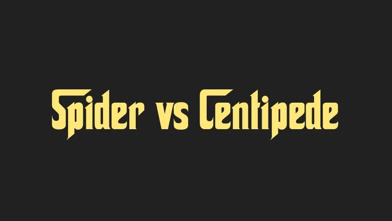 spider-vs-centipede