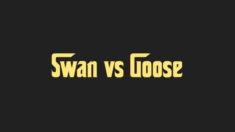 swan-vs-goose