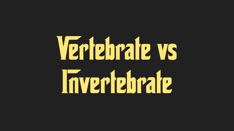 vertebrate-vs-invertebrate