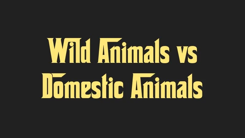 wild-animals-vs-domestic-animals