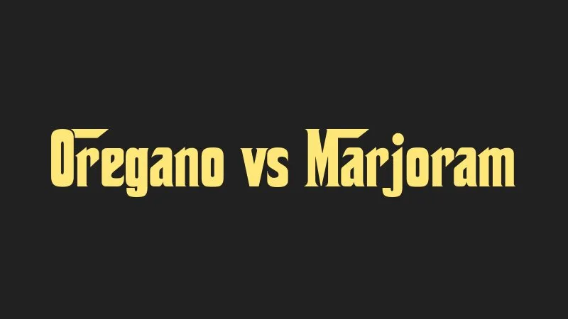 oregano-vs-marjoram