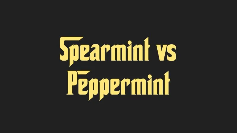 spearmint-vs-peppermint