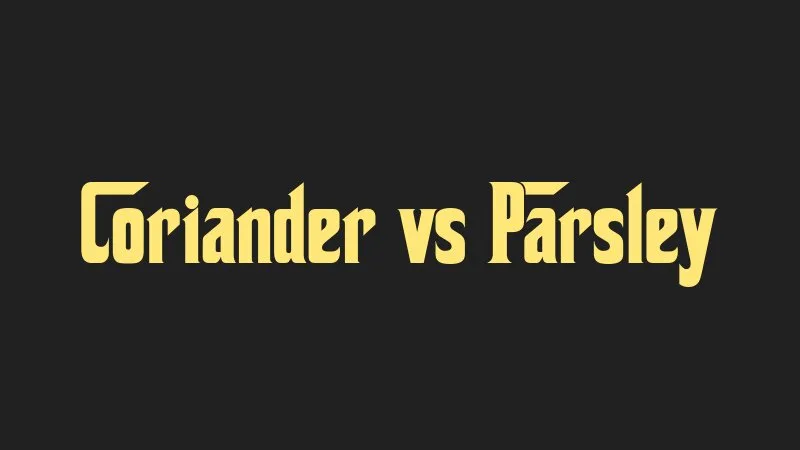 coriander-vs-parsley
