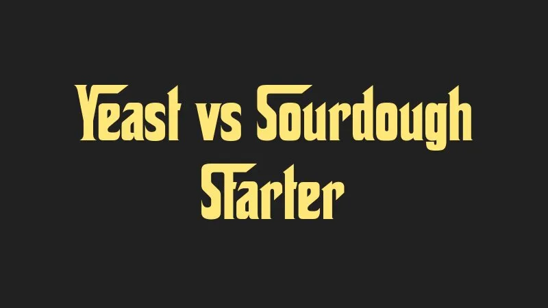 yeast-vs-sourdough-starter